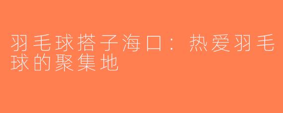 羽毛球搭子海口：热爱羽毛球的聚集地