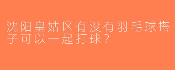 沈阳皇姑区有没有羽毛球搭子可以一起打球？