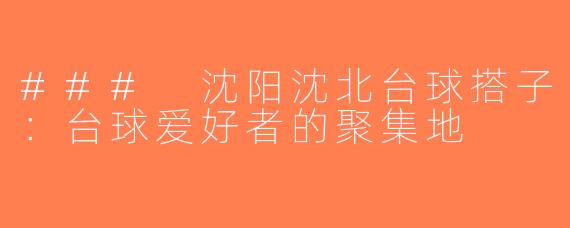 ### 沈阳沈北台球搭子：台球爱好者的聚集地