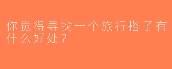 你觉得寻找一个旅行搭子有什么好处？  