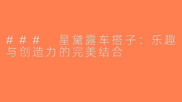 ### 星黛露车搭子：乐趣与创造力的完美结合