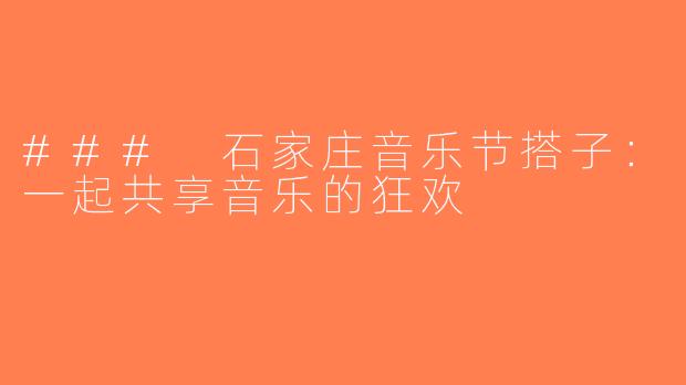 ### 石家庄音乐节搭子：一起共享音乐的狂欢