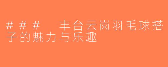 ### 丰台云岗羽毛球搭子的魅力与乐趣