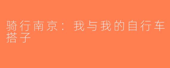 骑行南京：我与我的自行车搭子