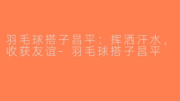 羽毛球搭子昌平：挥洒汗水，收获友谊-羽毛球搭子昌平