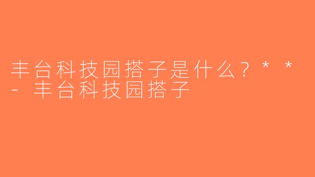 丰台科技园搭子是什么？**-丰台科技园搭子