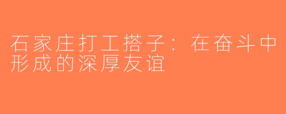 石家庄打工搭子：在奋斗中形成的深厚友谊