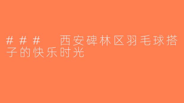 ### 西安碑林区羽毛球搭子的快乐时光