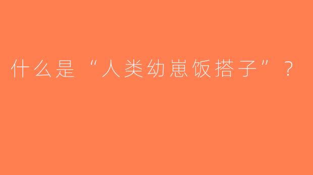 什么是“人类幼崽饭搭子”？  