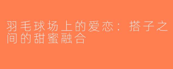 羽毛球场上的爱恋：搭子之间的甜蜜融合