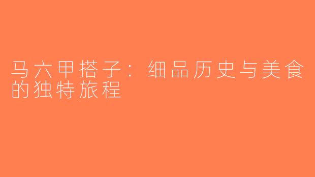 马六甲搭子：细品历史与美食的独特旅程