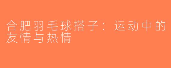 合肥羽毛球搭子：运动中的友情与热情