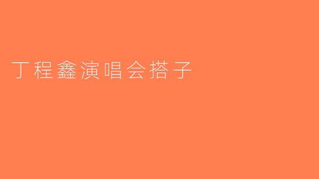 丁程鑫演唱会搭子