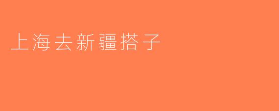 上海去新疆搭子