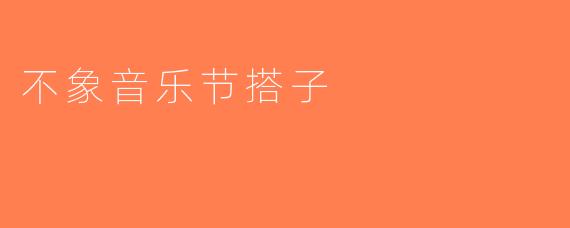 不象音乐节搭子