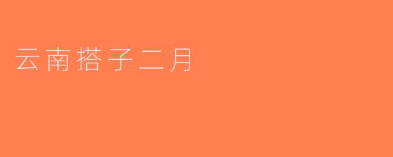 云南搭子二月
