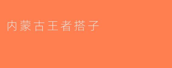 内蒙古王者搭子