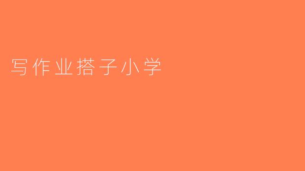 写作业搭子小学