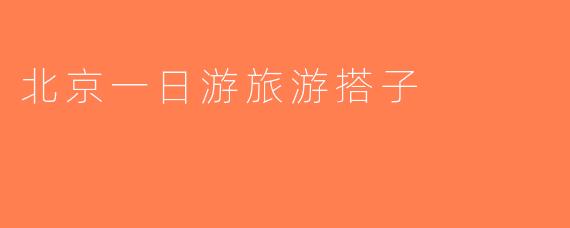 北京一日游旅游搭子