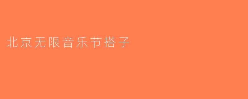 北京无限音乐节搭子