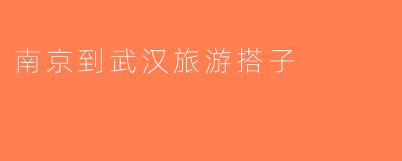 南京到武汉旅游搭子
