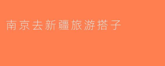 南京去新疆旅游搭子
