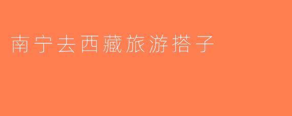 南宁去西藏旅游搭子