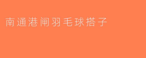 南通港闸羽毛球搭子