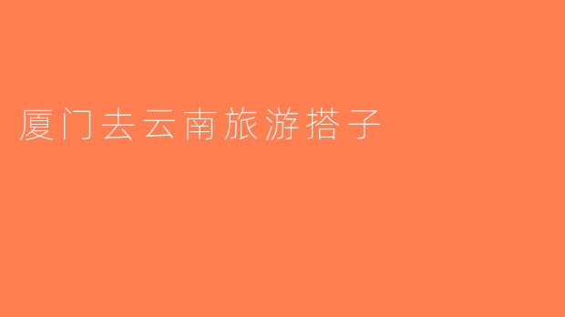 厦门去云南旅游搭子