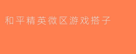 和平精英微区游戏搭子