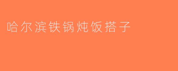 哈尔滨铁锅炖饭搭子