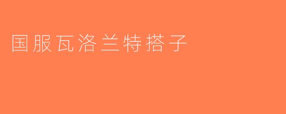 国服瓦洛兰特搭子