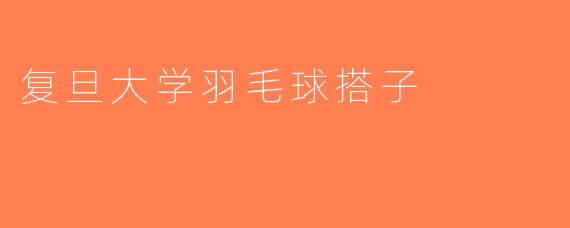 复旦大学羽毛球搭子