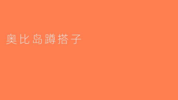 奥比岛蹲搭子