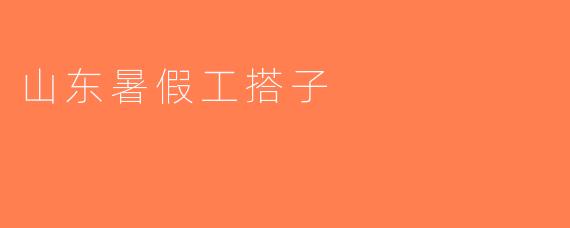 山东暑假工搭子
