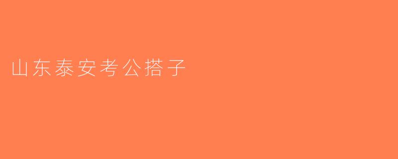 山东泰安考公搭子