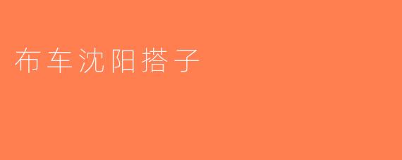布车沈阳搭子