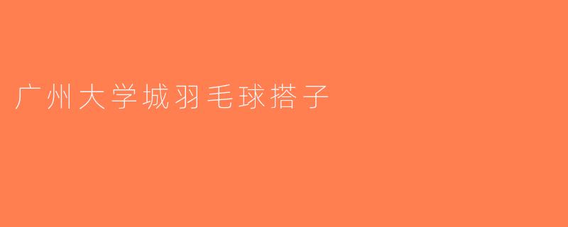 广州大学城羽毛球搭子
