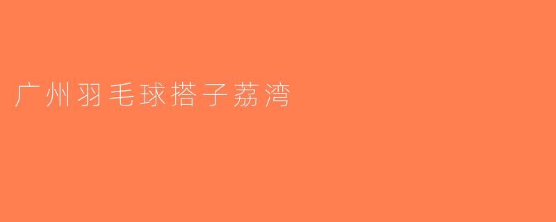 广州羽毛球搭子荔湾