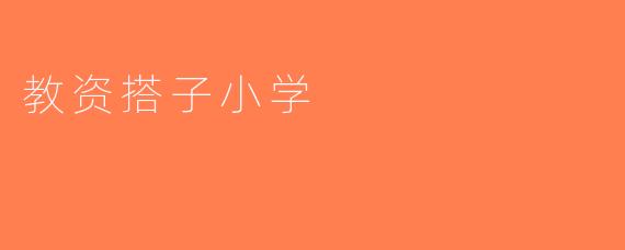 教资搭子小学