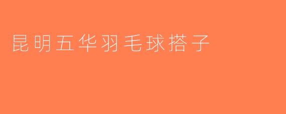昆明五华羽毛球搭子