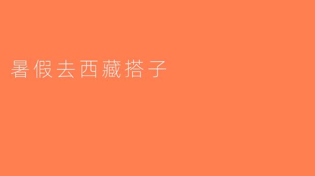 暑假去西藏搭子