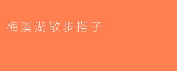梅溪湖散步搭子