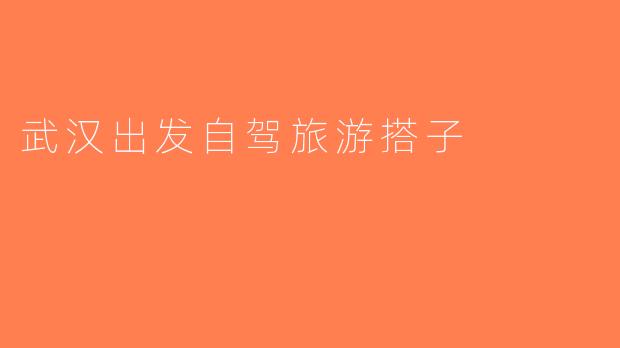 武汉出发自驾旅游搭子