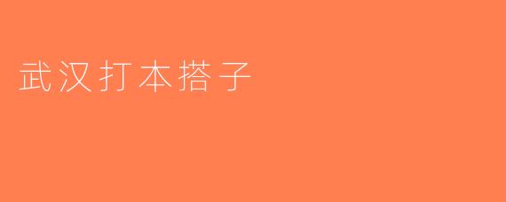 武汉打本搭子