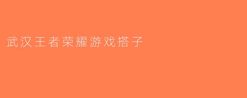 武汉王者荣耀游戏搭子