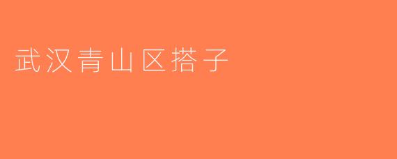 武汉青山区搭子