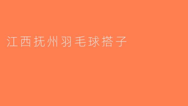 江西抚州羽毛球搭子