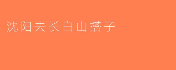 沈阳去长白山搭子