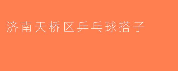 济南天桥区乒乓球搭子